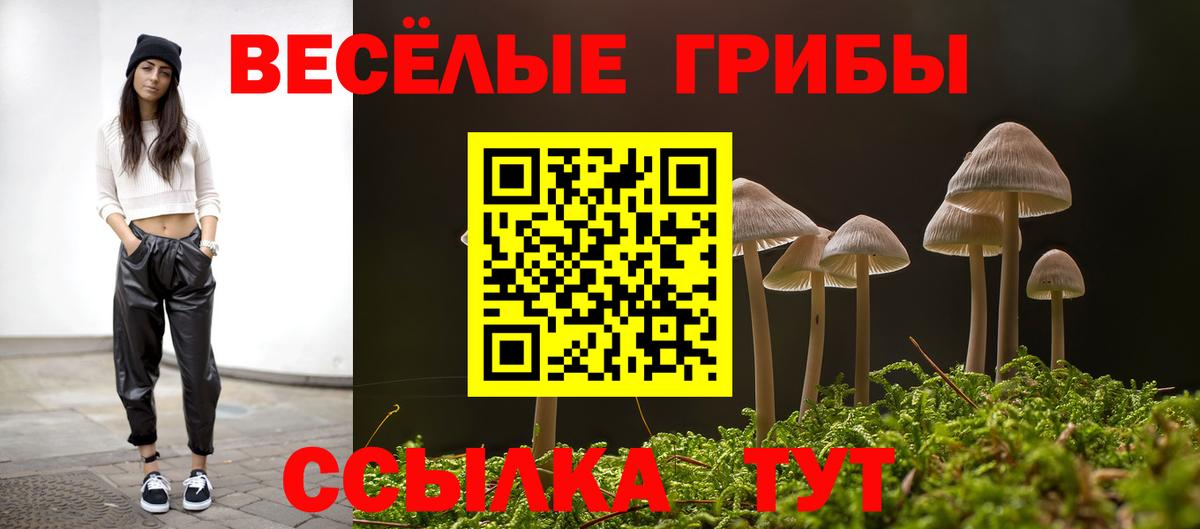 Медногорск  Псилоцибиновые грибы мицелий  Вход с VPN  Галлюциногенные грибы MAGIC MUSHROOMS 